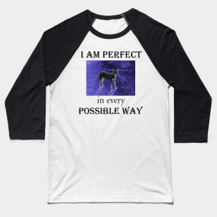 I am perfect in every possible way Baseball T-Shirt